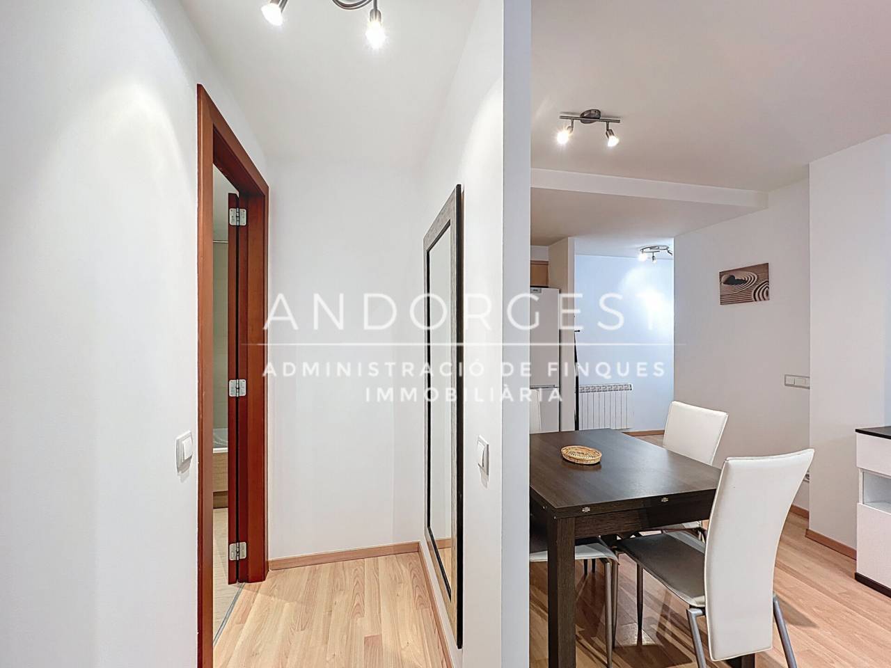 1-bedroom flat for rent in El Tarter, Canillo · 36 of 60