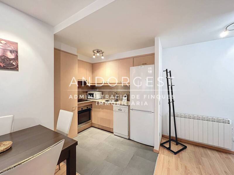 Apartment for rent in El Tarter