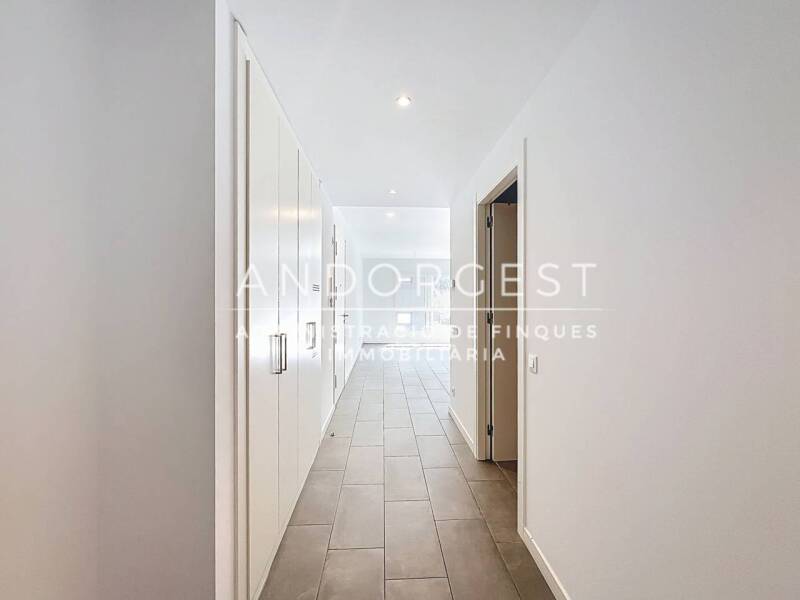 New Construction Apartment
