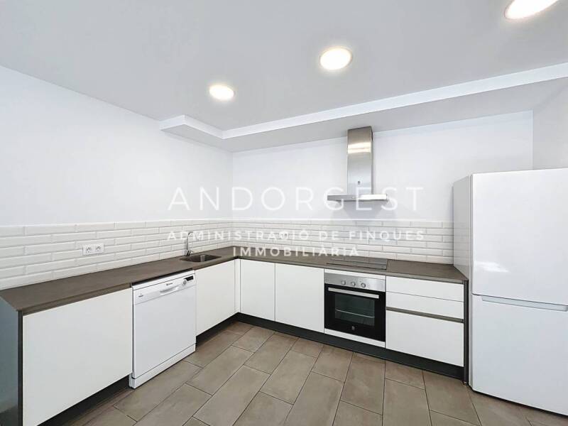 New Construction Apartment