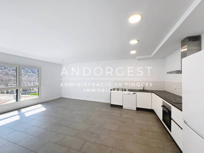 New Construction Apartment